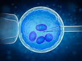 traitement de la fertilité