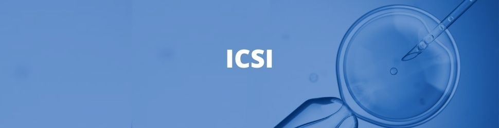 cycle FIV ICSI PMA