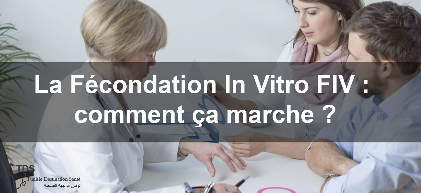 La Fecondation In Vitro FIV comment ca marche