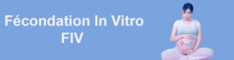 Fécondation-In-Vitro-FIV-tunisie-fr-3