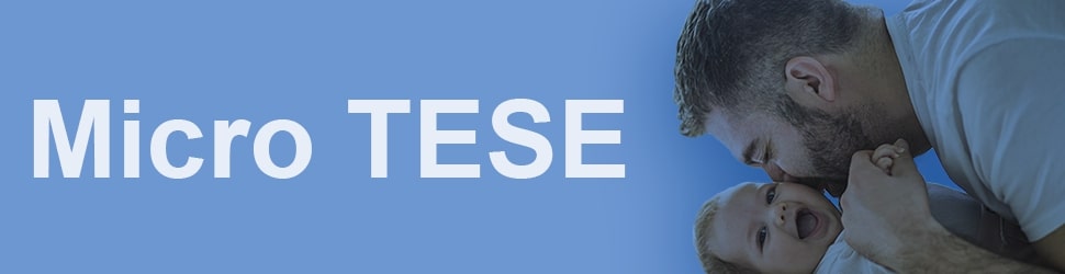 Micro TESE tunisie