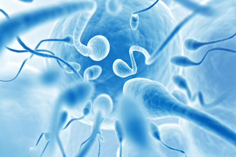 Biopsie Testiculaire